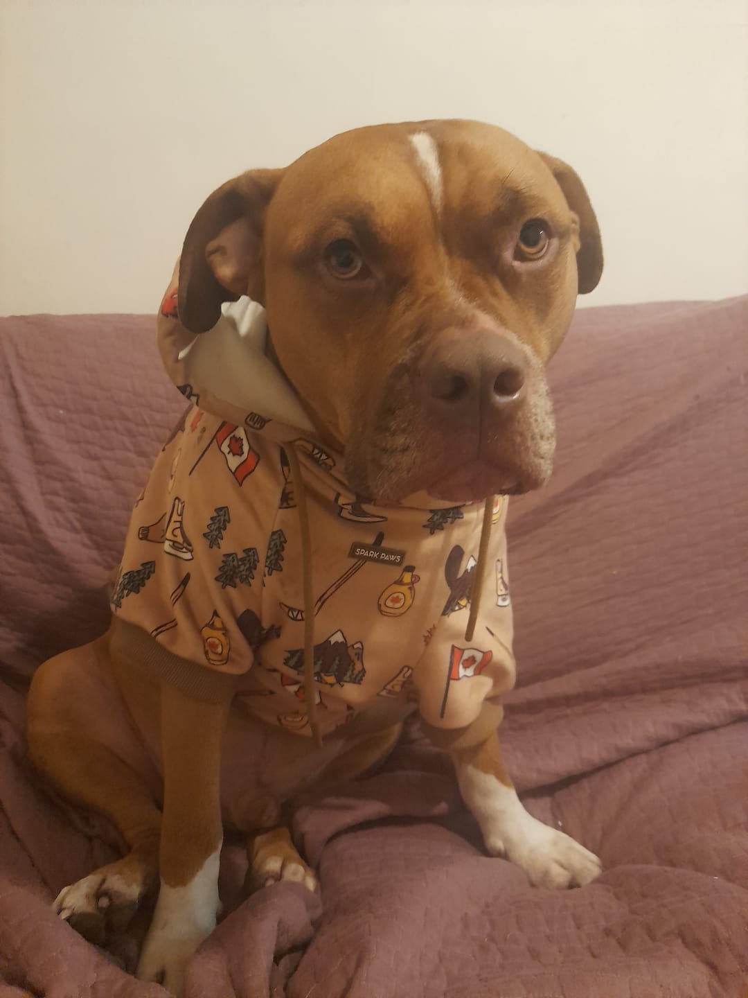 Customer photo review of Canada Dog Hoodie