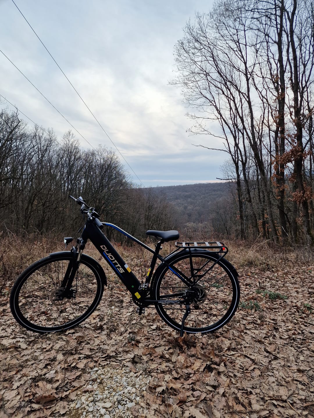 Customer photo review of DUOTTS C29Lite Electric Bike