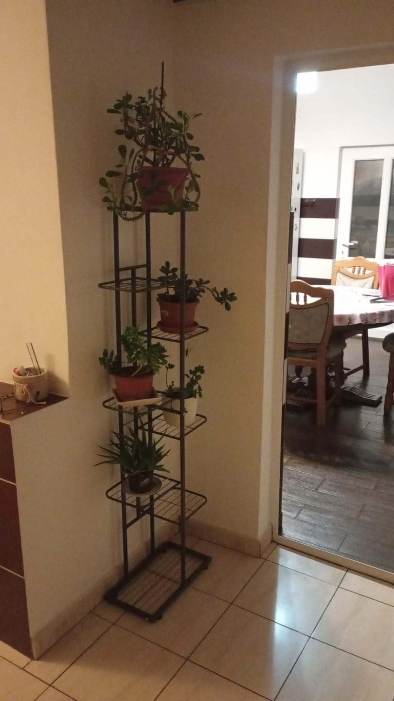Customer photo review of Etajera BAMIR TIP 4, gri, metal, 44x22x141 cm