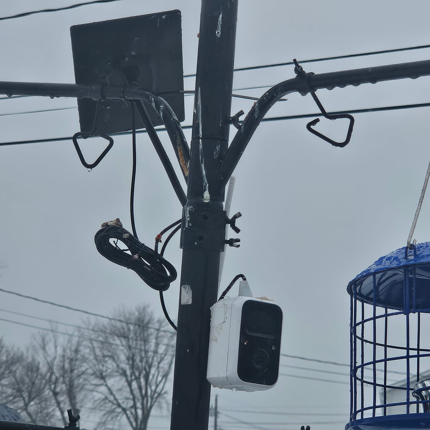 Customer photo review of Birdfy Solar Panel (Type C) - Bird Feeder Camera Solar Panel