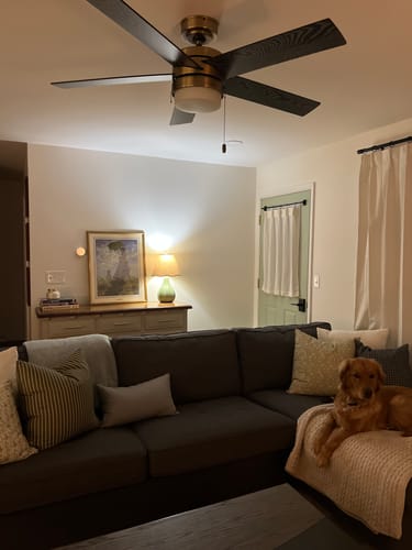 Customer's Eden floral pillow styled on a dark grey couch with other pillows and a golden retriever.