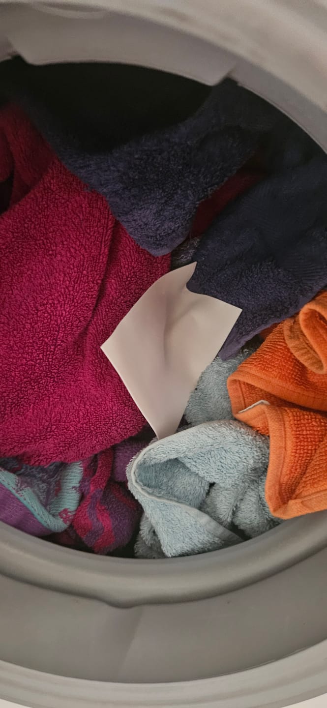 Customer photo review of Sheetsies Bundle - Laundry 80pk, Dishwash 80pk, Toilet 30pk.