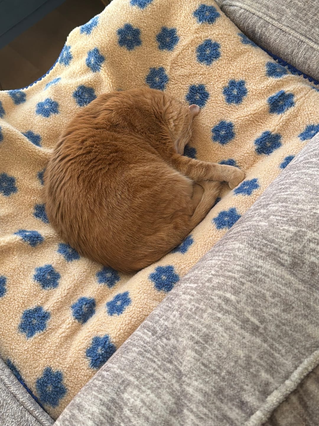 Customer photo review of Little Summer Blanket