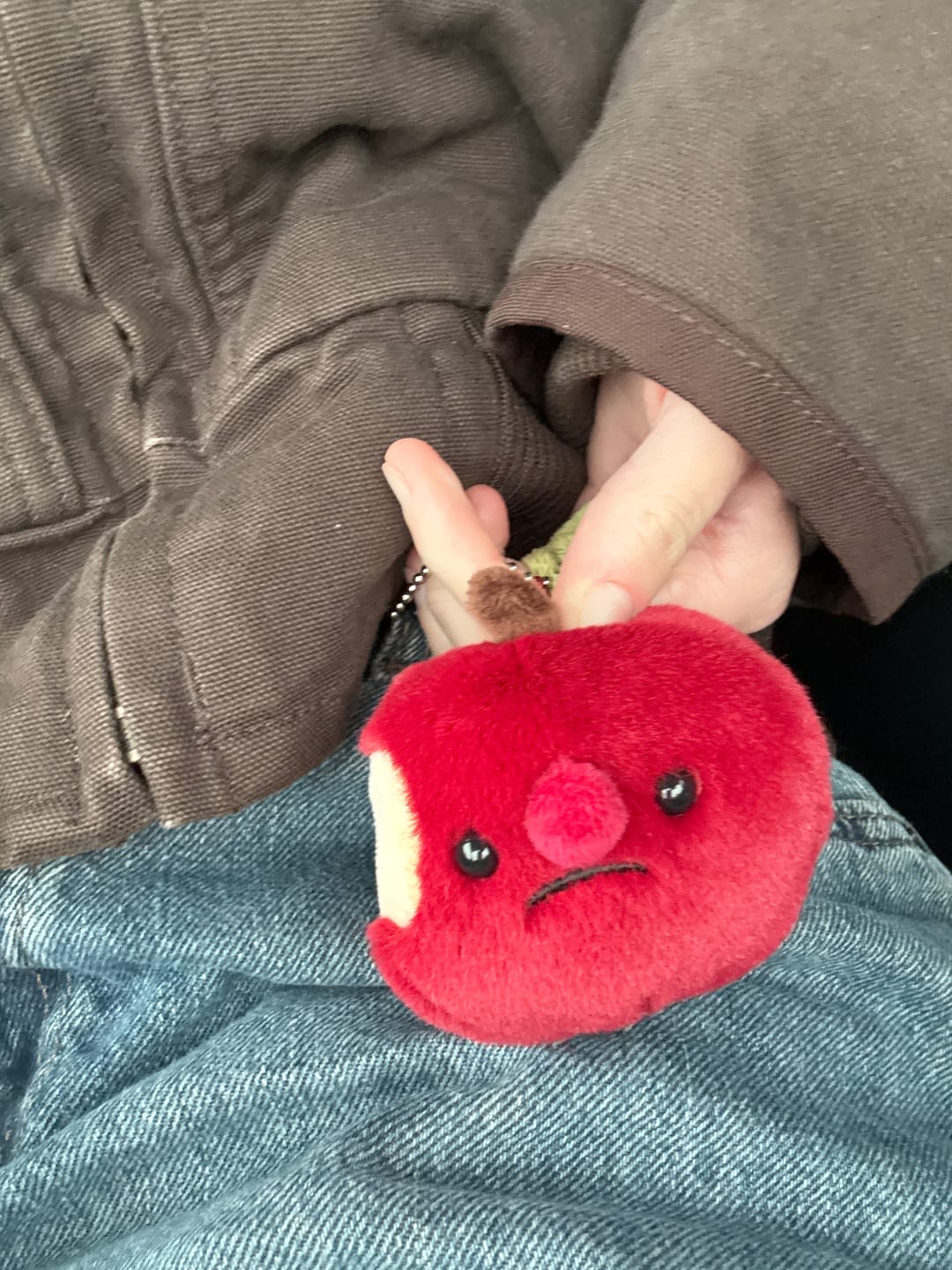 Customer photo review of Forgotten Bitten Apple