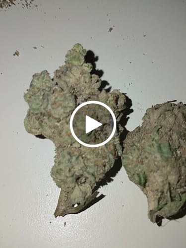 Customer video review of Winter Breath - Bulk - Hybrid