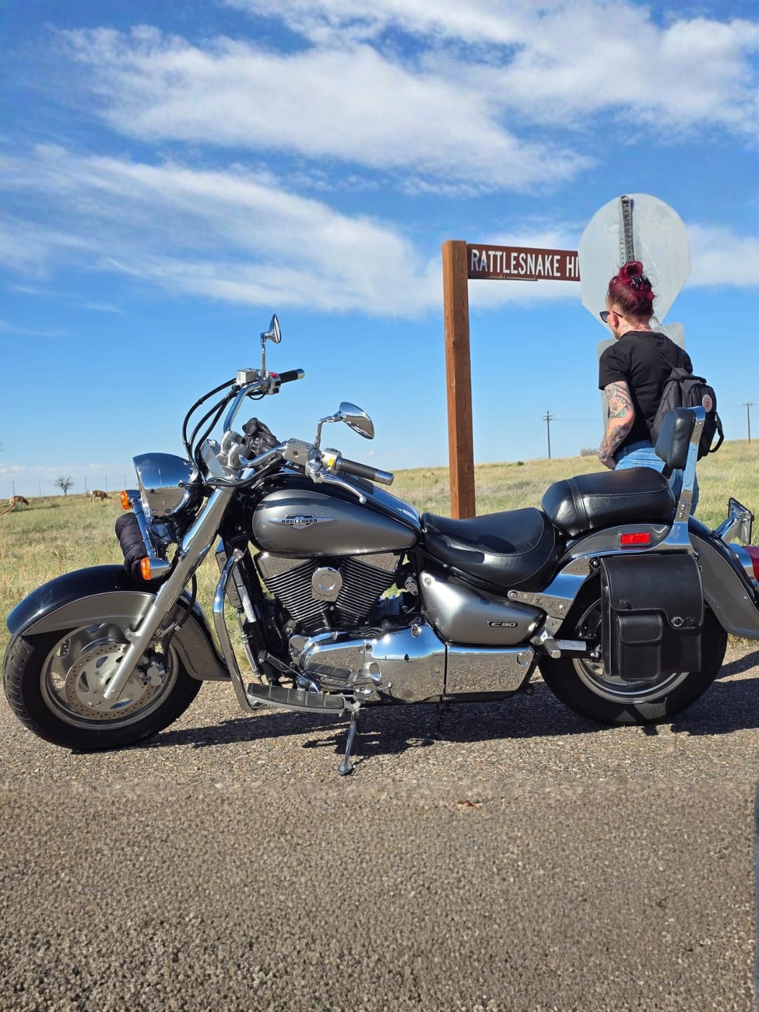 Customer photo review of 5L - Fatman Motorcycle Solo Bag For Harley Softail