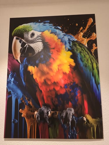 Customer photo review of Alu-Dibond Bild | Papagei mit bunten Farbspritzern | Hochformat