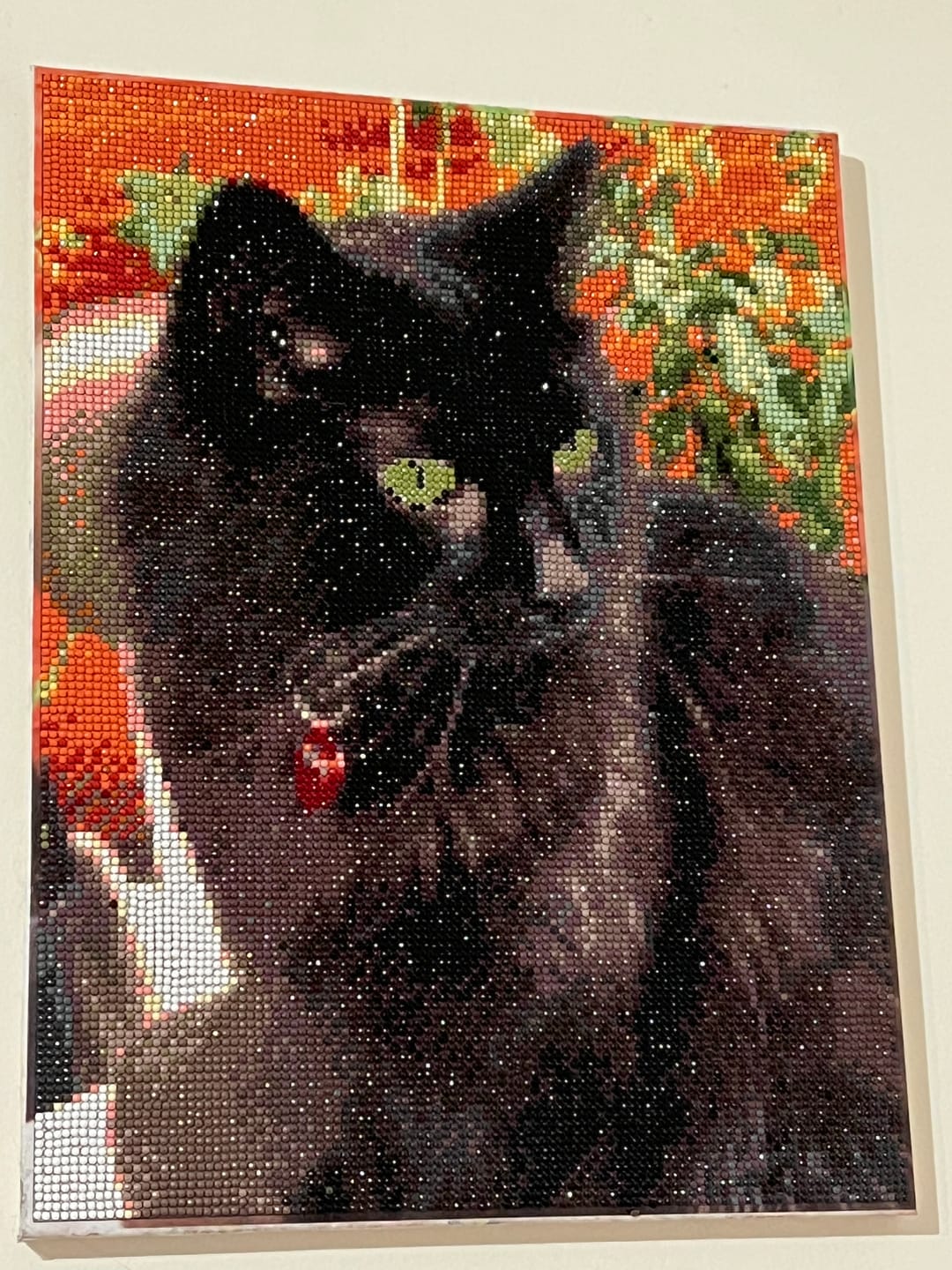 Customer photo review of Personalised Crystal Art Canvas Kit