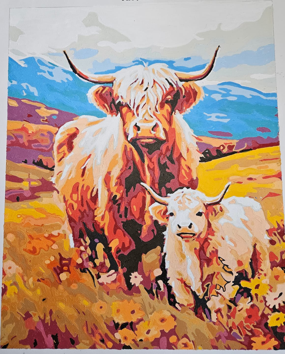 Customer photo review of Highland Companions