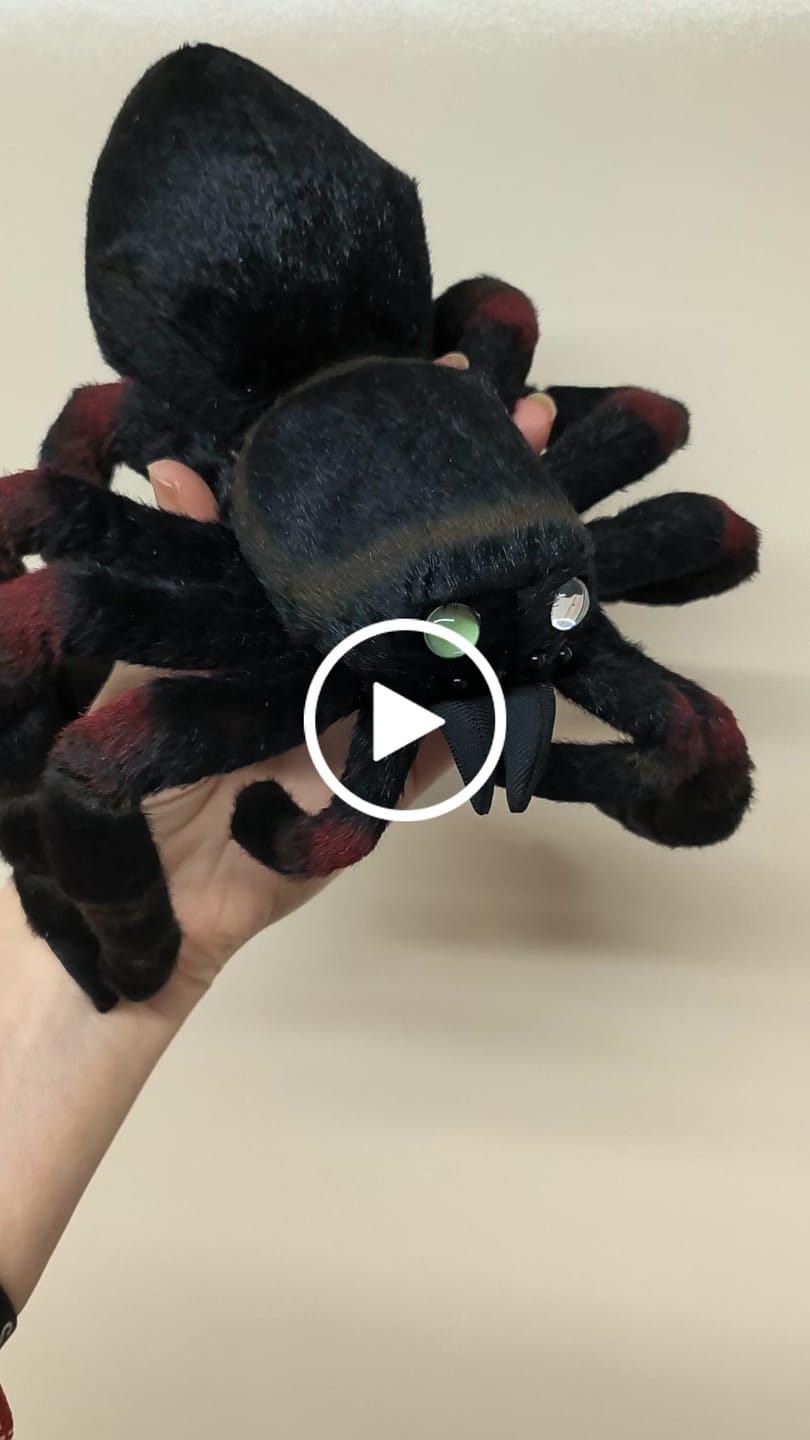 Customer video review of Tarantula Spider Soft Stuffed Plush Toy