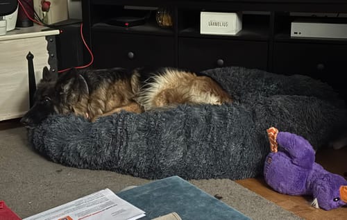 Customer photo review of CalmBed - Supermjuk komfort för djup sömn