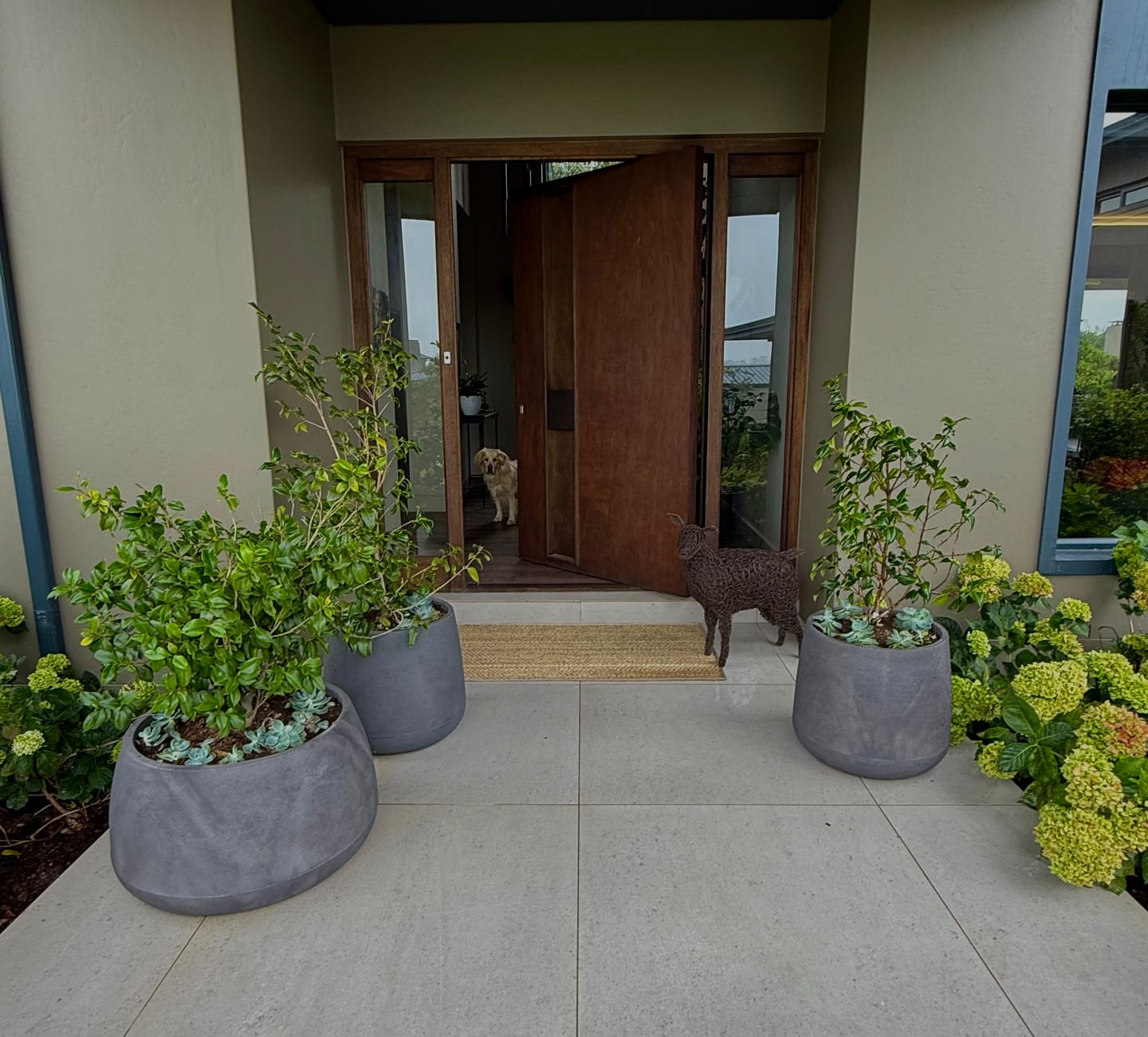 Customer photo review of Bios Japi Planters       (click for details)