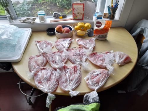 Customer photo review of 5KG Fresh NZ Snapper Fillets