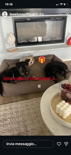 Customer photo review of Divanetto Mattias Marrone (Soft Touch)