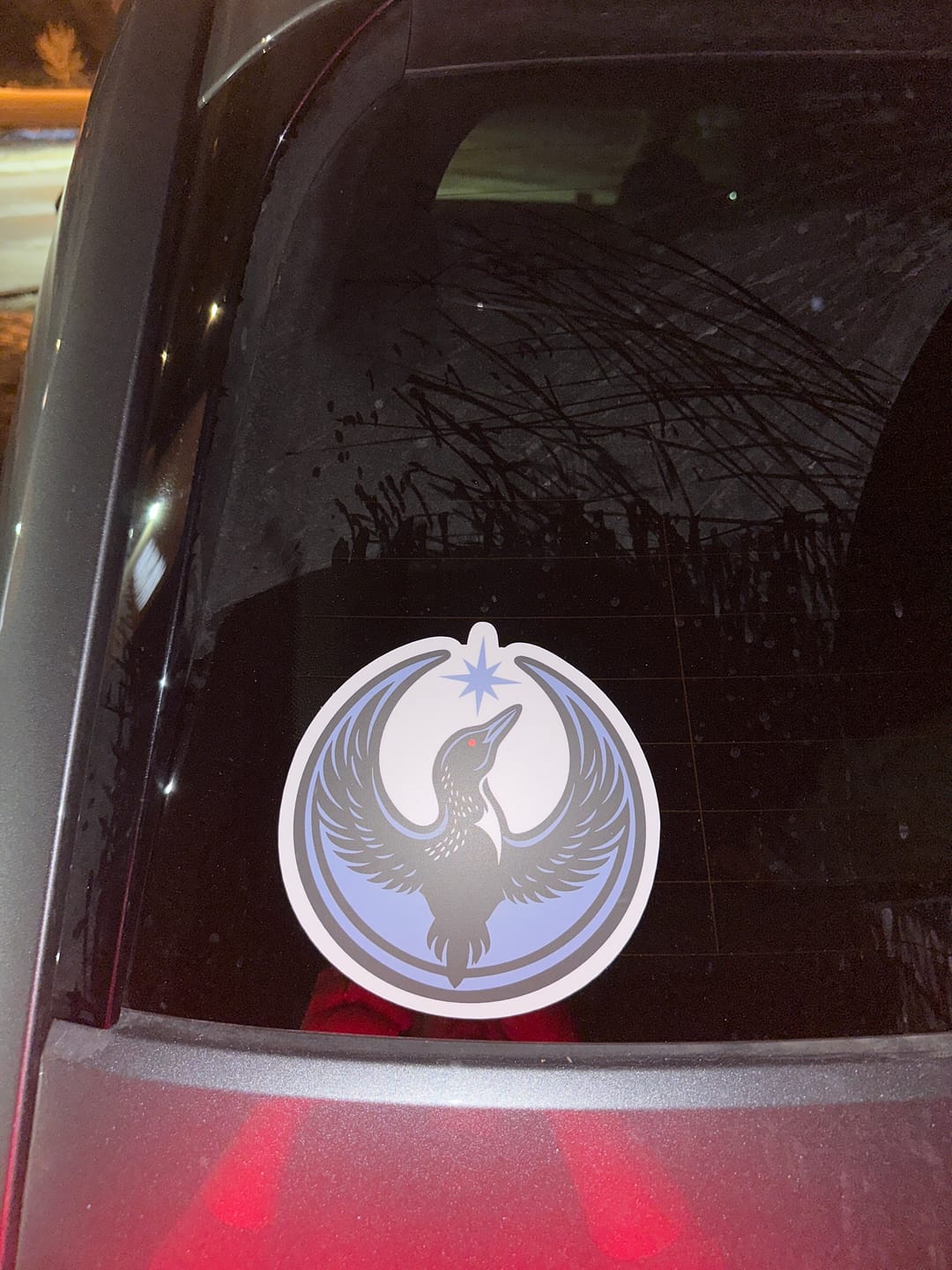 Customer photo review of Large Rebel Loon Vehicle Decal Sticker