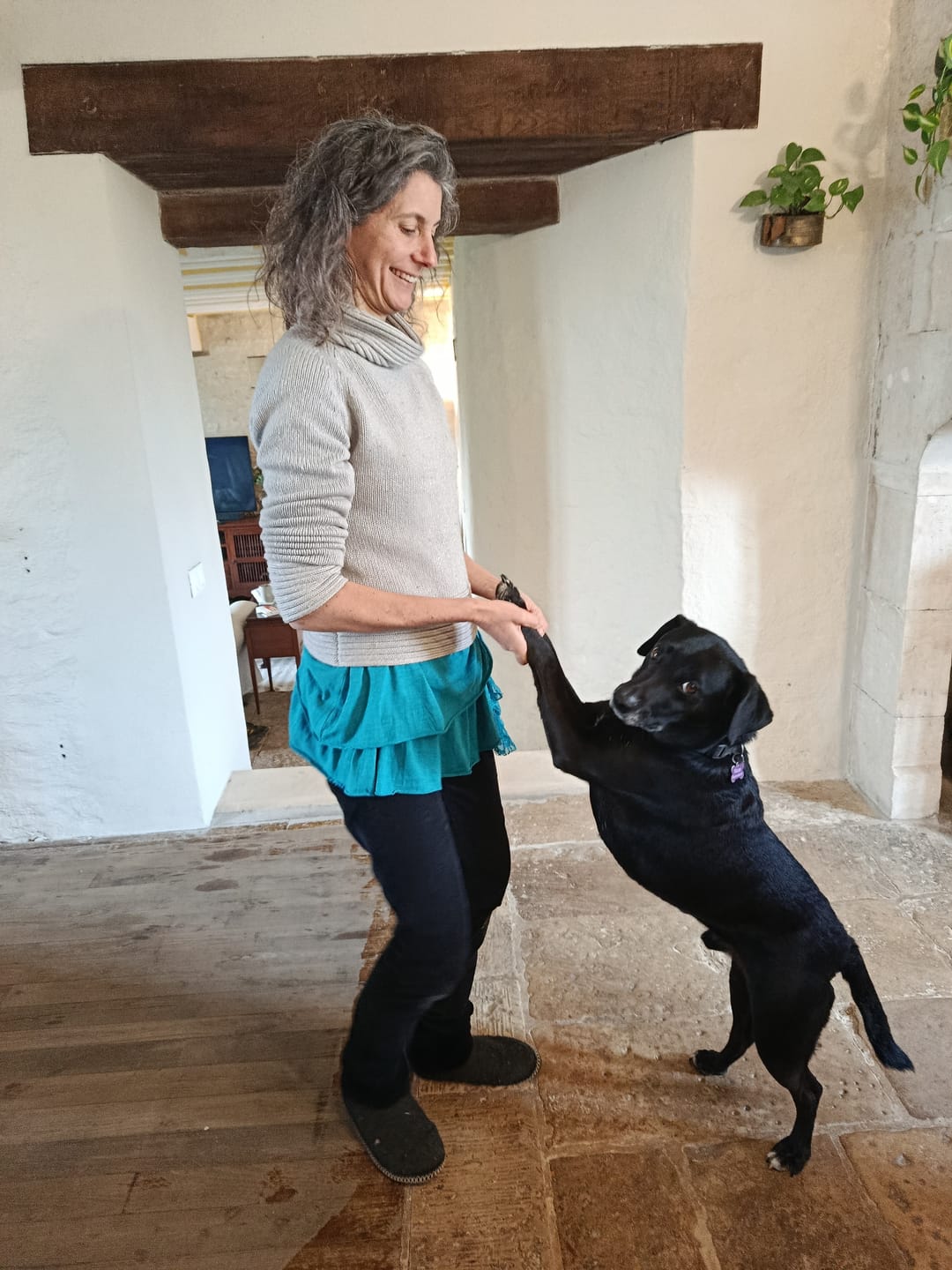 Customer photo review of Abonnement Croquettes Bio Chien Adulte Moy./Grande race - Poulet & Citrouille (-15%)