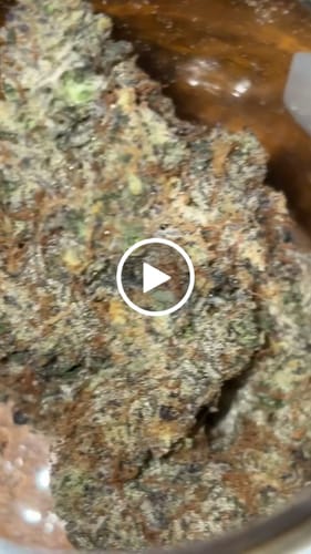 Customer video review of Gary Payton 31% THCA