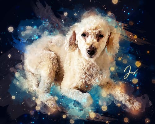 Customer's custom watercolor pet portrait of a white poodle lying down on a dark blue background with light effects.
