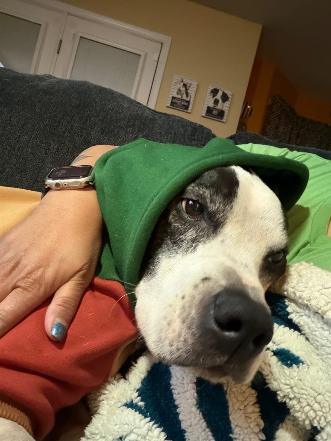 Customer photo review of Ranger Dog Hoodie