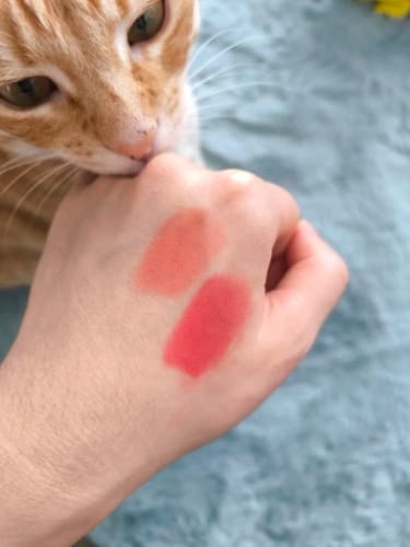 Customer photo review of Mooekiss Lip Mud