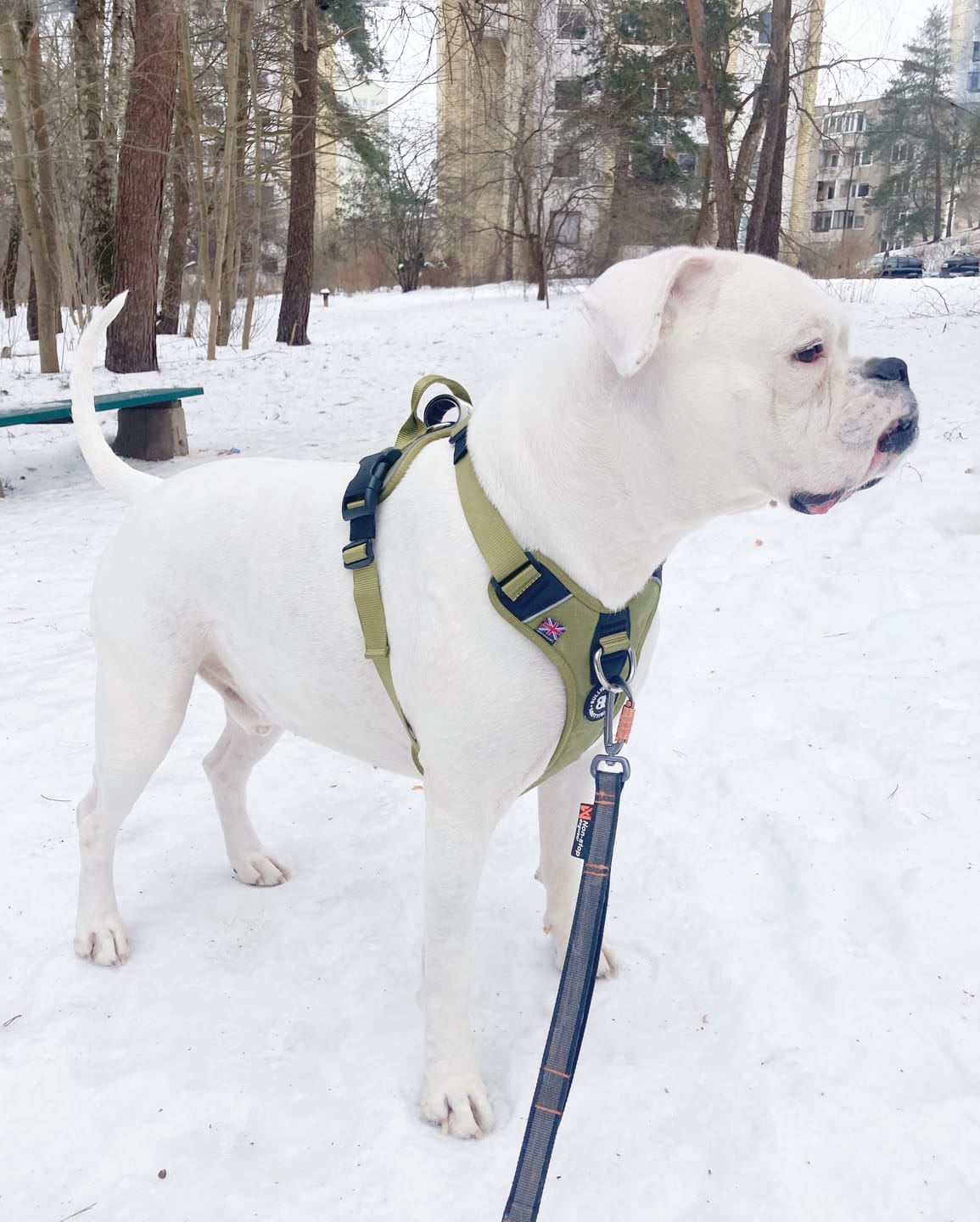 Customer photo review of Anti Pull Hurricane Harness Lighter | With Handle - Olive Green