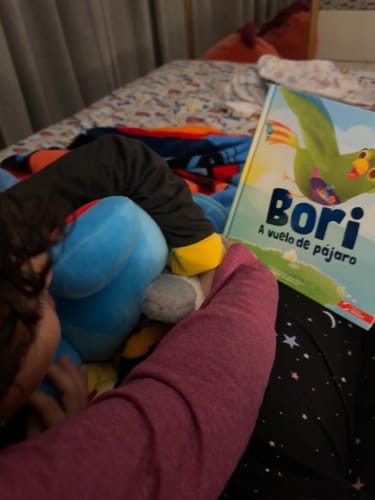 Customer photo review of Bori: A Vuelo de Pájaro | Libro Bilingüe