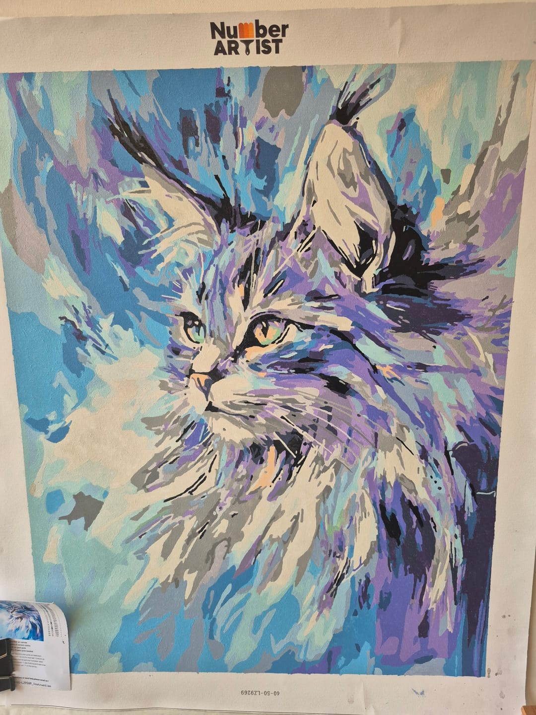 Customer photo review of Abstract Maine Coon