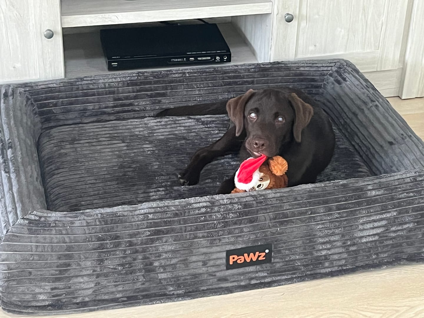 Customer photo review of Orthopaedic Dog Bed – Waterproof & Washable