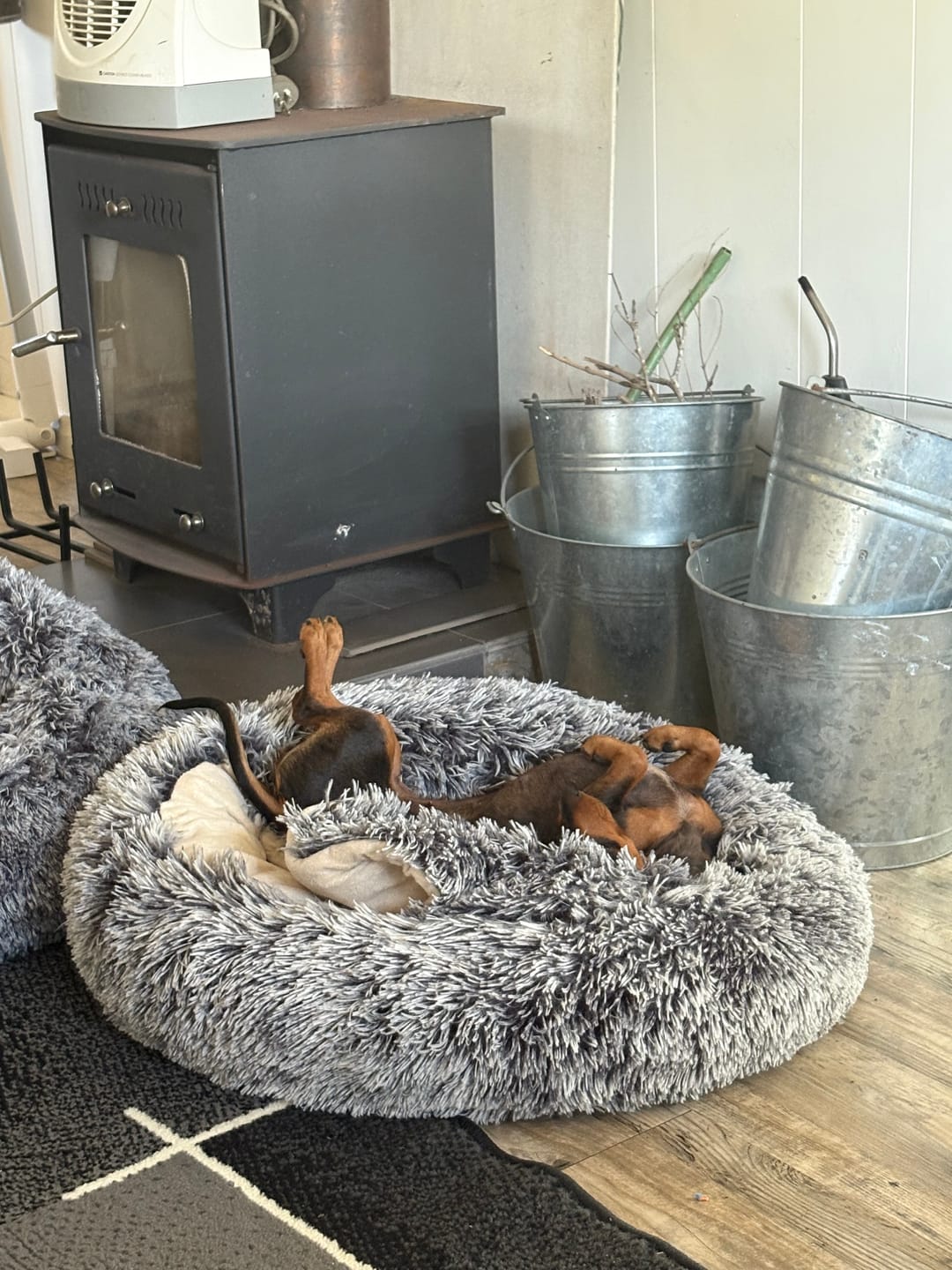 Customer photo review of Pet Cave Dog Bed - Removable Cover
