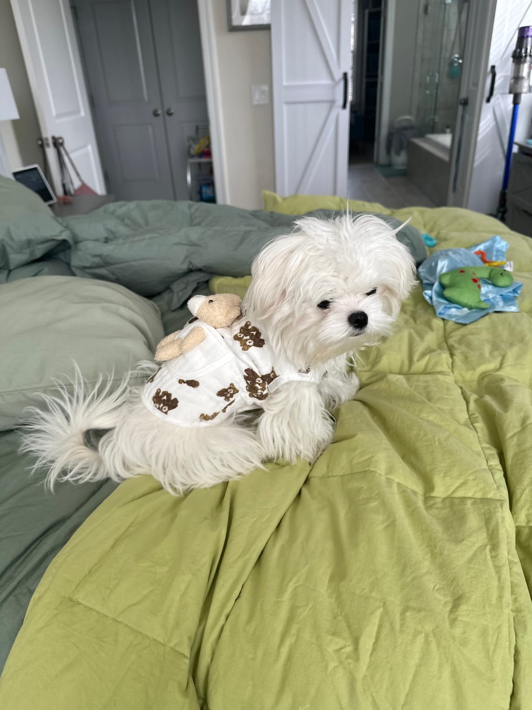 Customer photo review of Bear Decor Fleece Dog Harness Vest