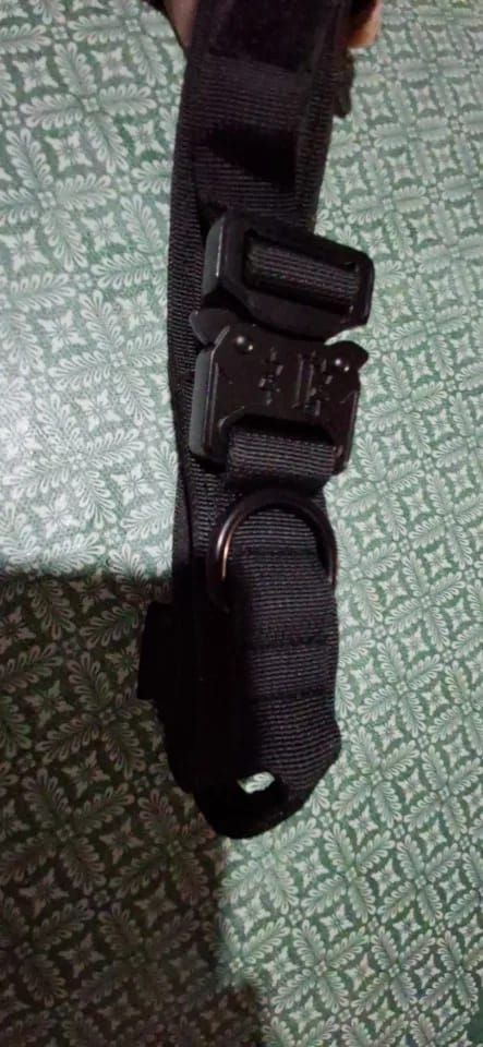 Customer photo review of Dog Training Prong Collar with Quick Release Buckle & Nylon Cover