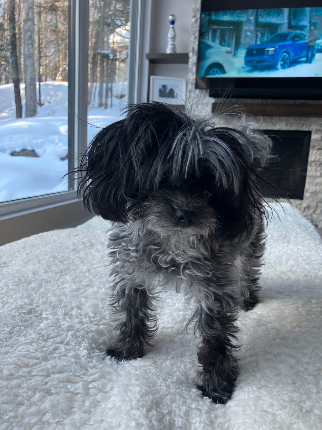 Customer photo review of Vrac Nature's Own - Bâtonnets oesophage de boeuf pour chien