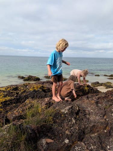Customer photo review of Mr. Dingo Boxy Fit Vintage Wash Kids T-Shirt