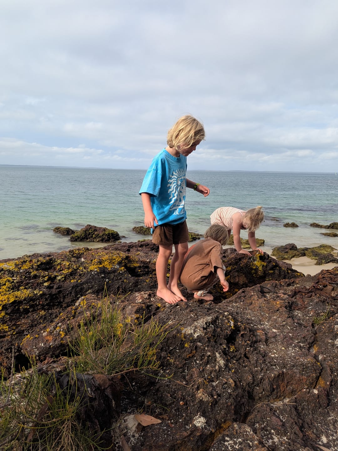 Customer photo review of Mr. Dingo Boxy Fit Vintage Wash Kids T-Shirt