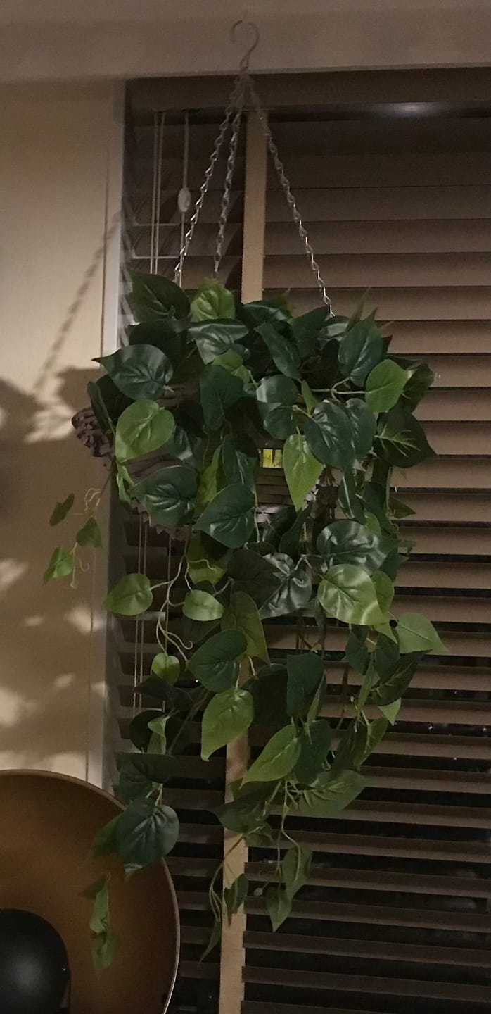 Customer photo review of Philodendron Kunst Hangplant 90cm