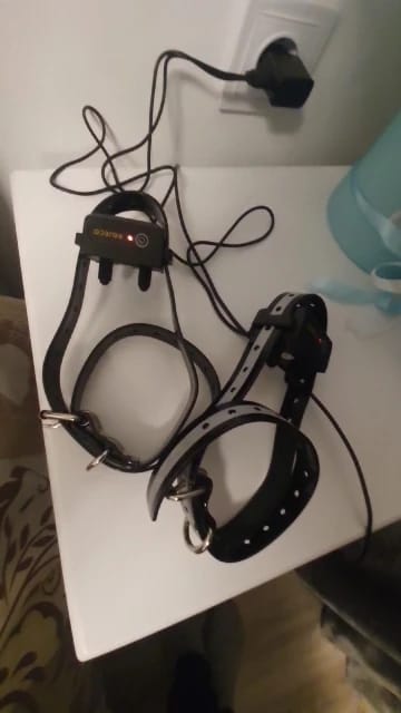 Customer photo review of 1000m Electric Dog Training Collar & Remote Control for Pet Training 