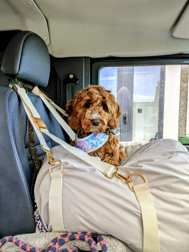 Customer photo review of Marshmallow | The Puffer Car Seat