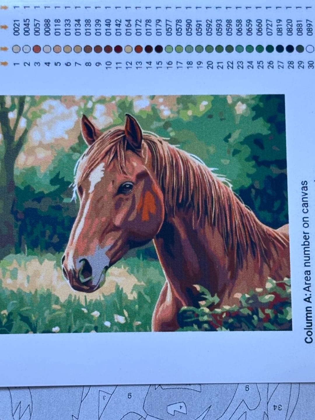 Customer photo review of Fierce Stallion