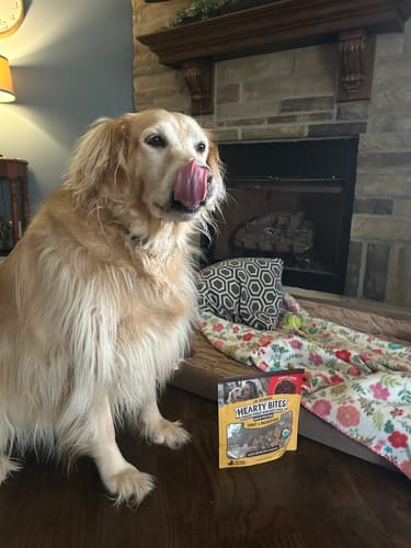 Customer's happy golden retriever licking its lips next to a bag of Hearty Bites treats.