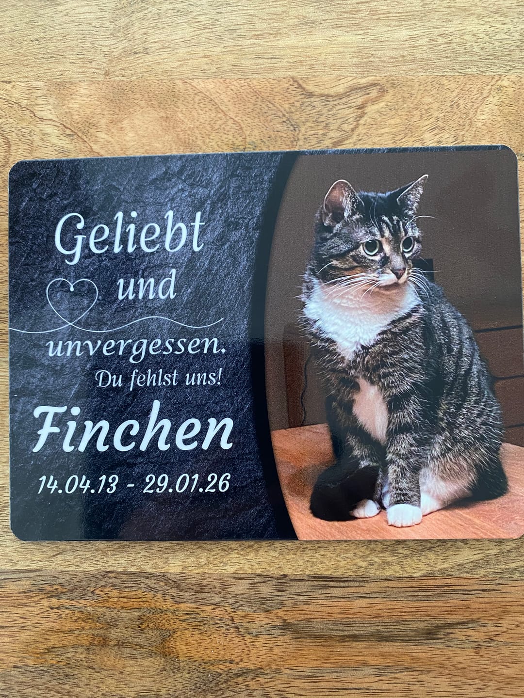 Customer photo review of Katzen Gedenktafel mit Foto & Spruch (UV- & Wetterfest)