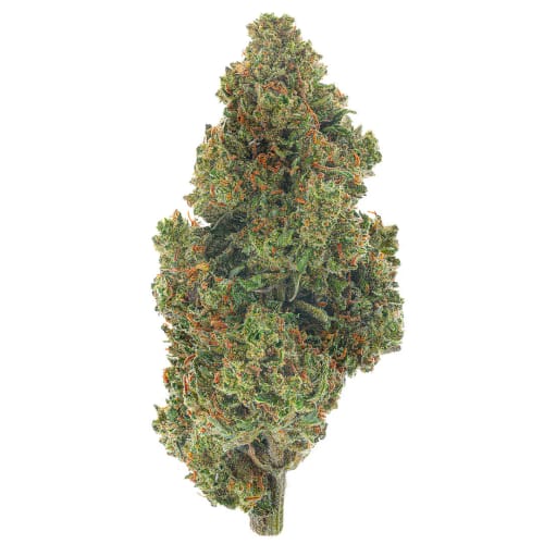 Customer photo review of Jack Herer - 14 Grams - Sativa