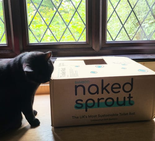 A customer's black cat sitting next to the large cardboard box for their Unbleached Bamboo Toilet Paper on a windowsill.