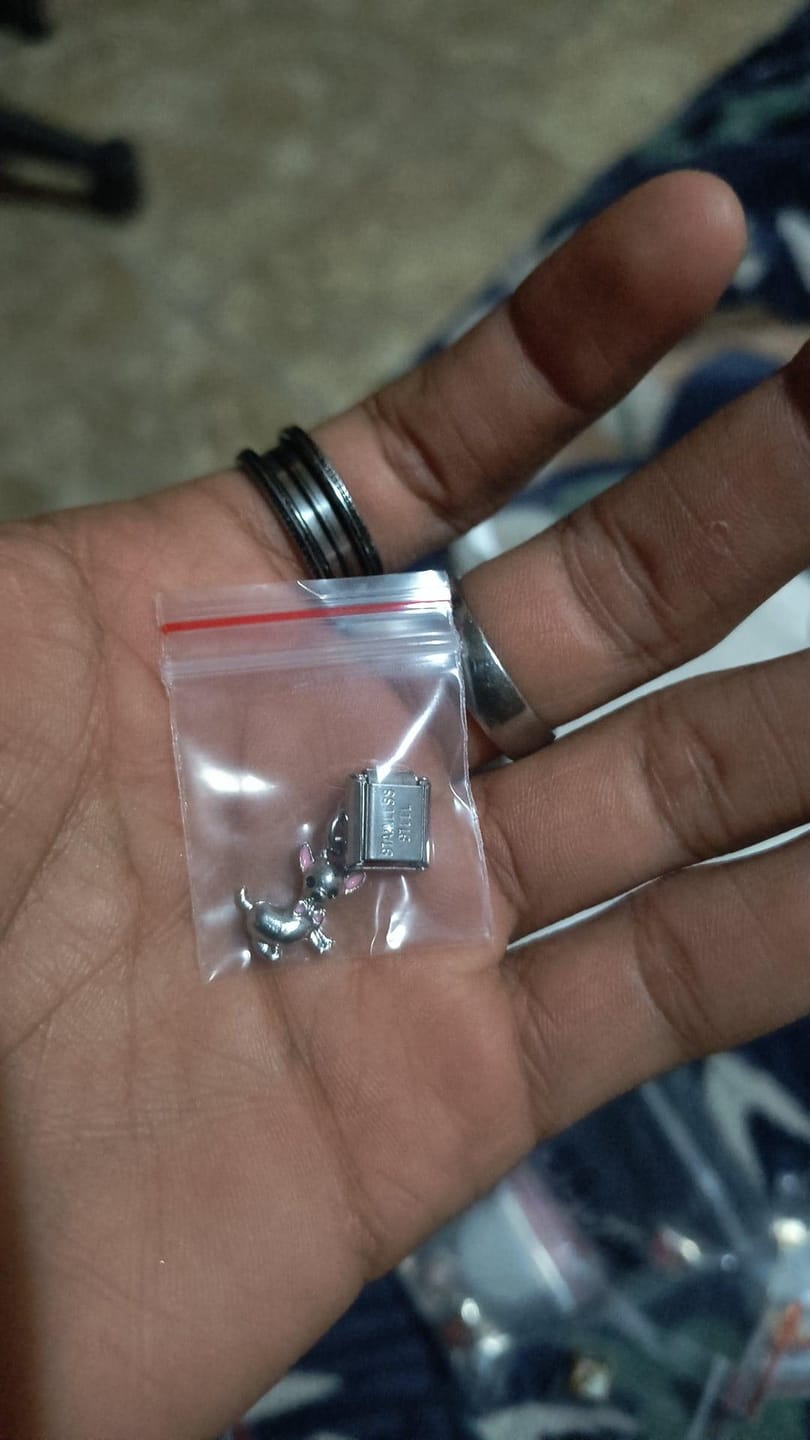Customer photo review of Charm Chihuahua Colgante