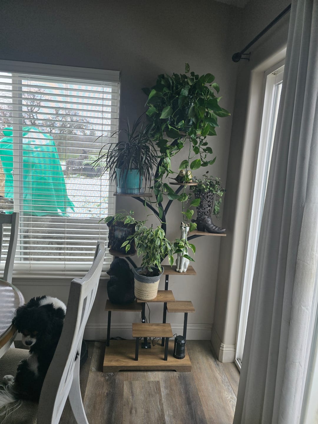 Customer photo review of 63" Indoor Plant Stand with Grow Lights