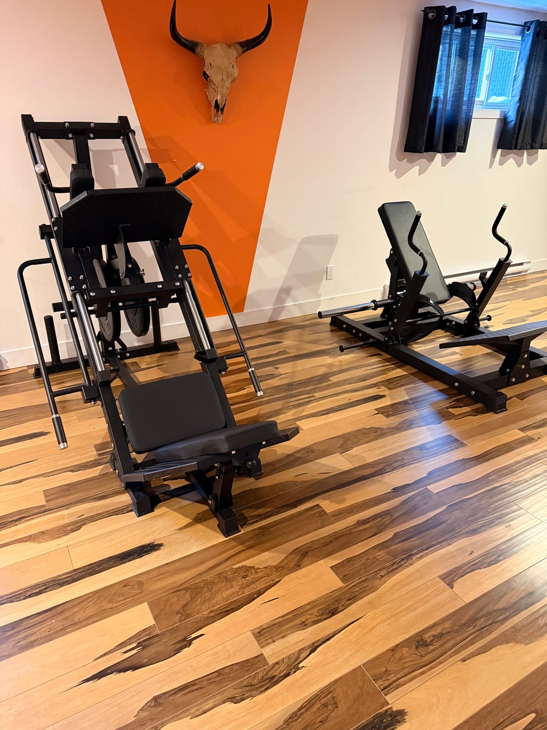 Customer photo review of Leg Press / Hack Squat Machine 2 en 1