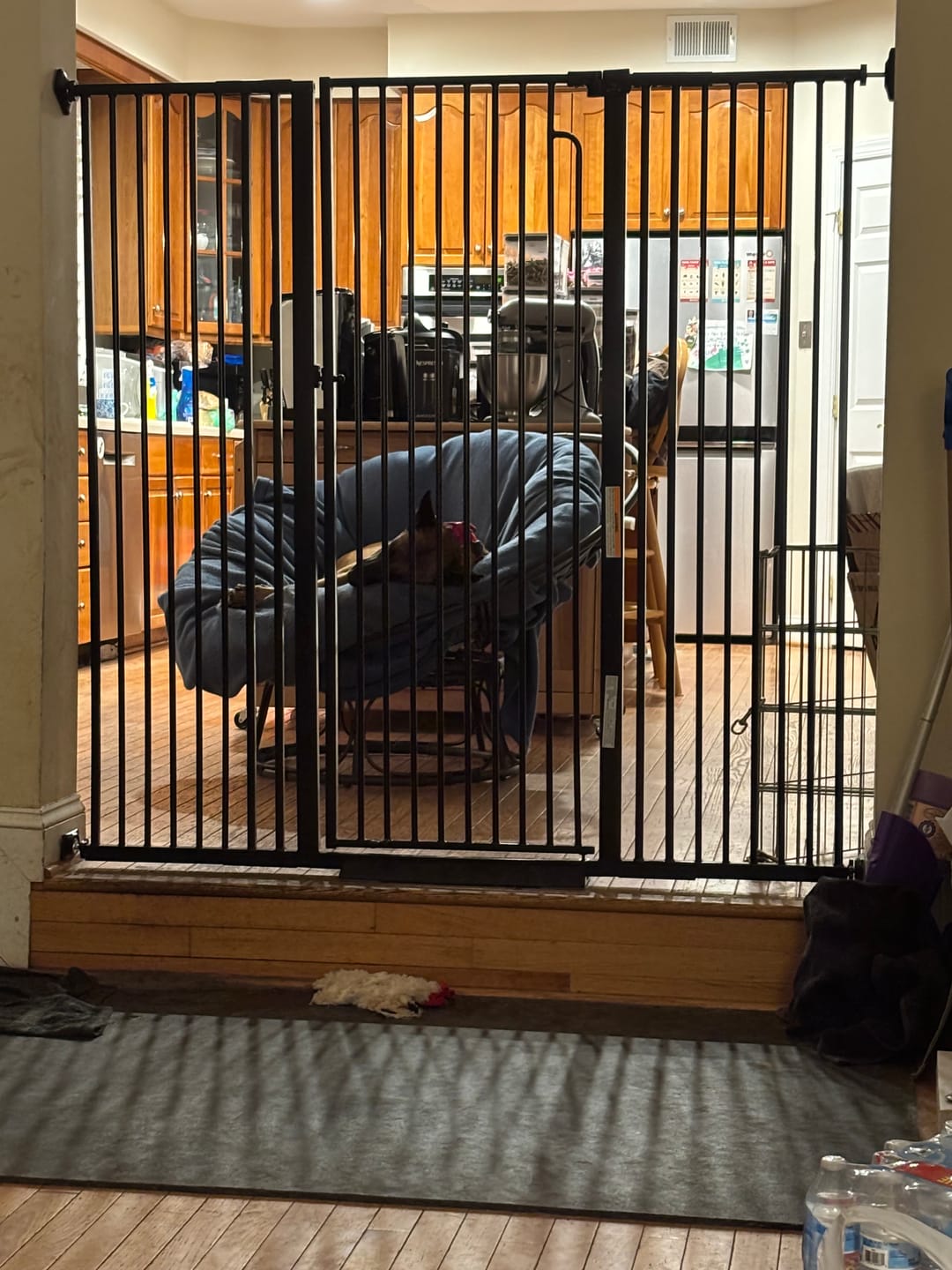 Customer photo review of FairyBaby 57" Extra Tall Pet Gate for  Big Dogs and Curious Climbers