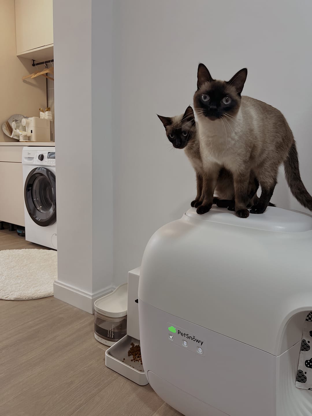 Customer photo review of Automatic Pet Feeder