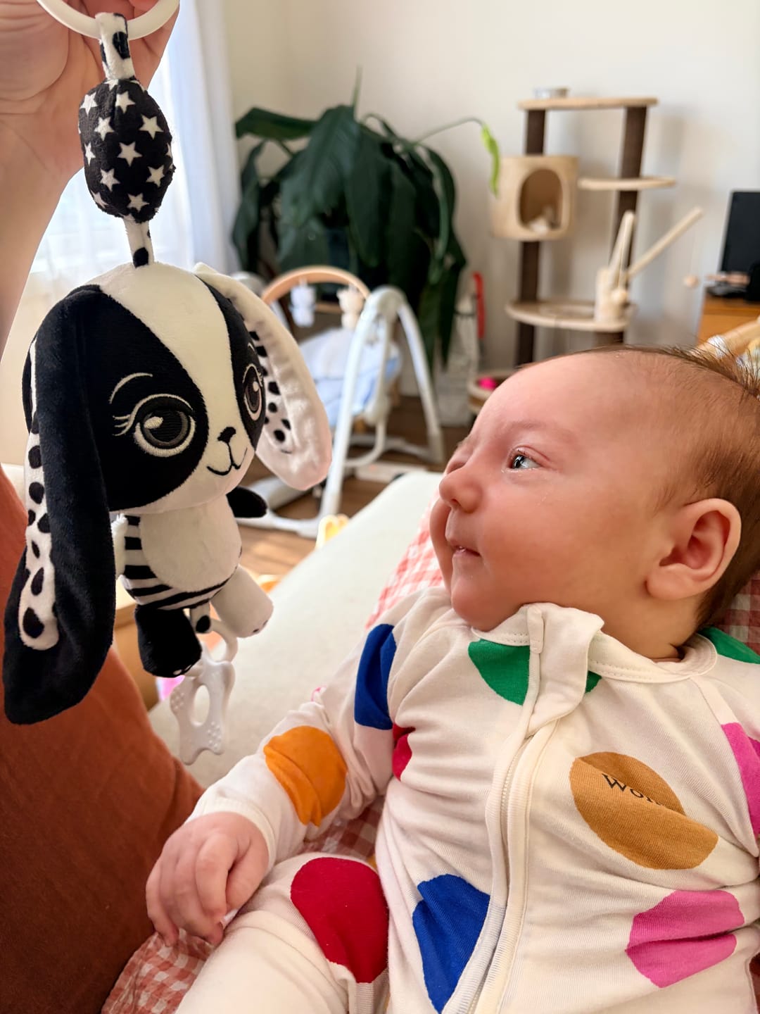 Customer photo review of Billie the Bunny – High Contrast Hanging Pram Toy