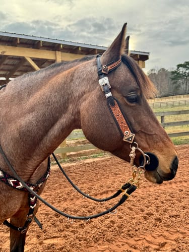Customer photo review of Matte Whitney Conchos