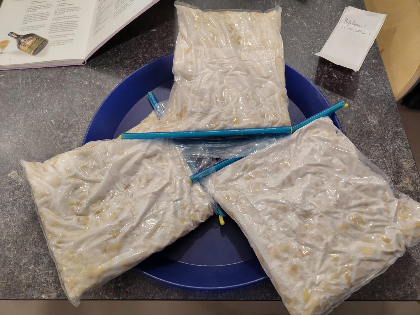 Customer photo review of BIO Tempeh Starterkultur
